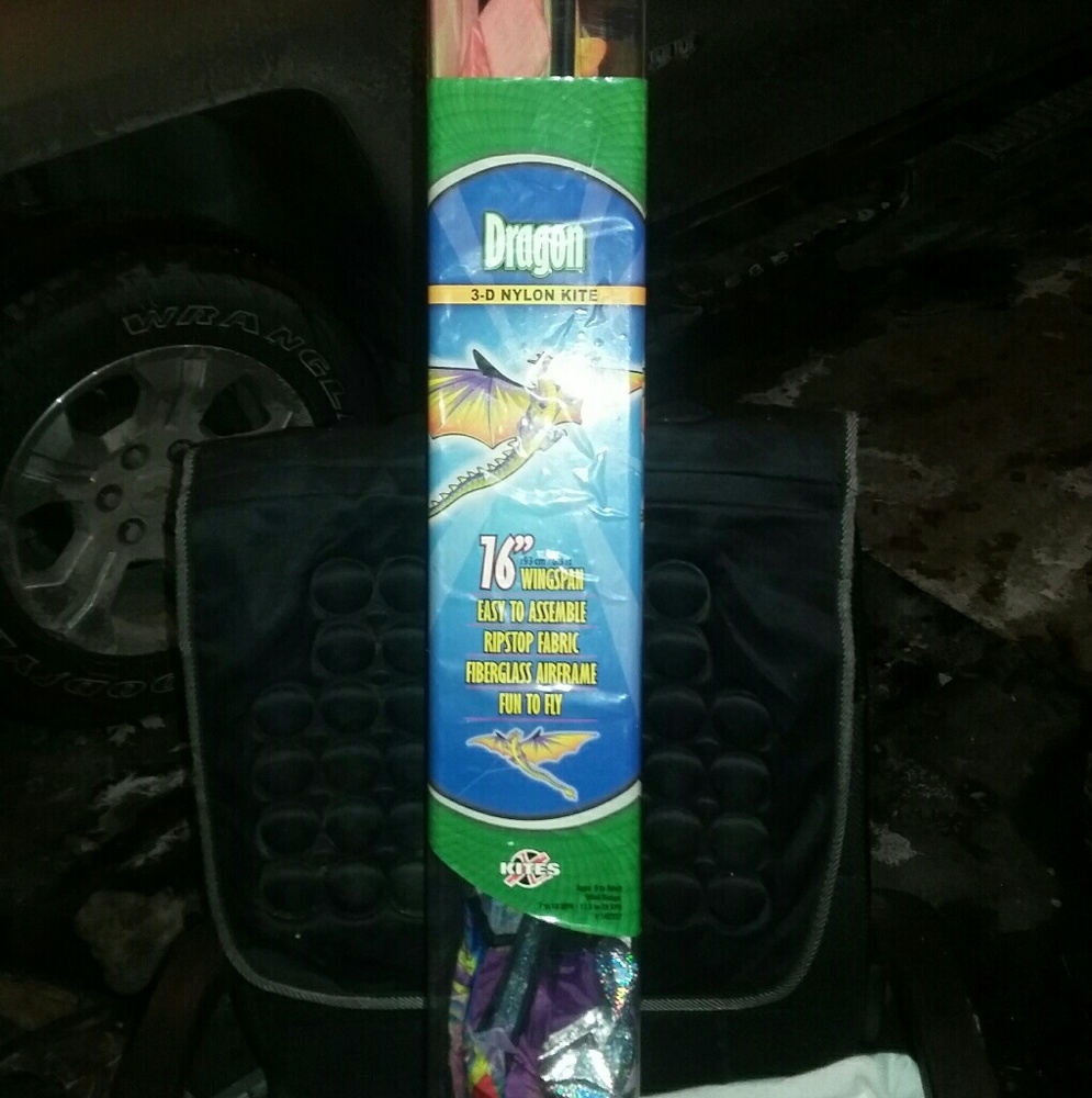 Large dragon kite